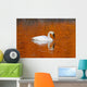 Trumpeter Swan In The Sunset Lit Water Of Potter Marsh Wall Mural