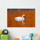 Trumpeter Swan In The Sunset Lit Water Of Potter Marsh Wall Mural