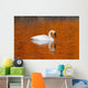 Trumpeter Swan In The Sunset Lit Water Of Potter Marsh Wall Mural