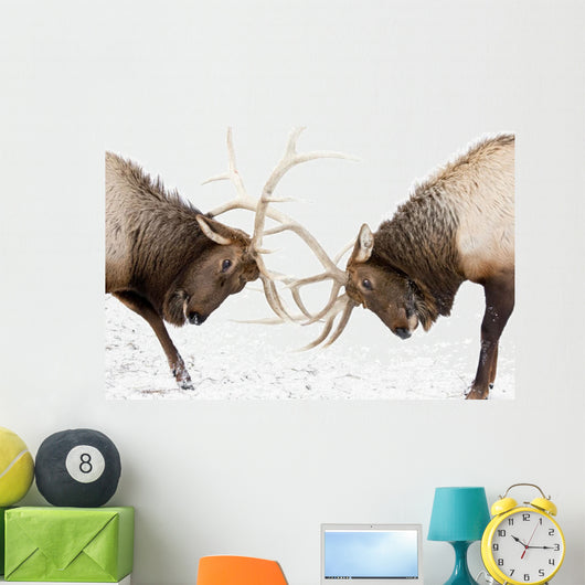 Captive Wall Mural