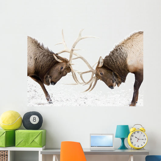 Captive Wall Mural
