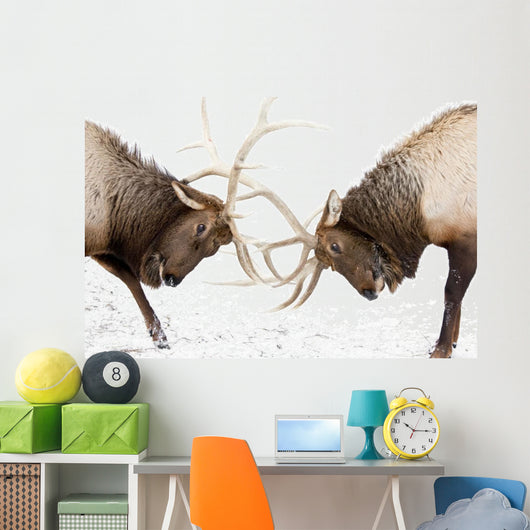Captive Wall Mural