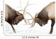 Captive Wall Mural