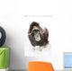 Captive Wall Mural