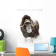 Captive Wall Mural