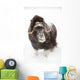 Captive Wall Mural