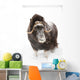 Captive Wall Mural