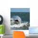 surfeur Wall Mural