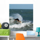 surfeur Wall Mural