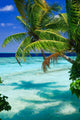 Tropical Paradise Maldives