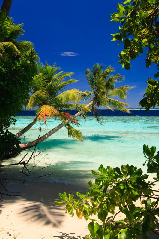 Tropical Paradise at Maldives Wall Mural