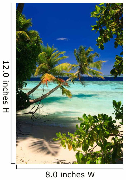 Tropical Paradise at Maldives Wall Mural