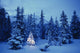 Spruce Tree In Forest With Christmas Lights Ak Winter Wall Mural