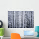 Snowcovered Cottonwood Trees Girdwood Southcentral Alaska Winter Wall Mural
