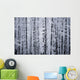 Snowcovered Cottonwood Trees Girdwood Southcentral Alaska Winter Wall Mural