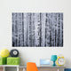 Snowcovered Cottonwood Trees Girdwood Southcentral Alaska Winter Wall Mural