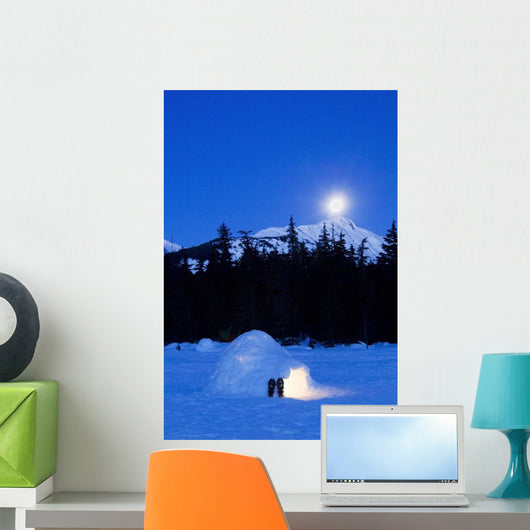 Hand Built Igloo Wall Mural