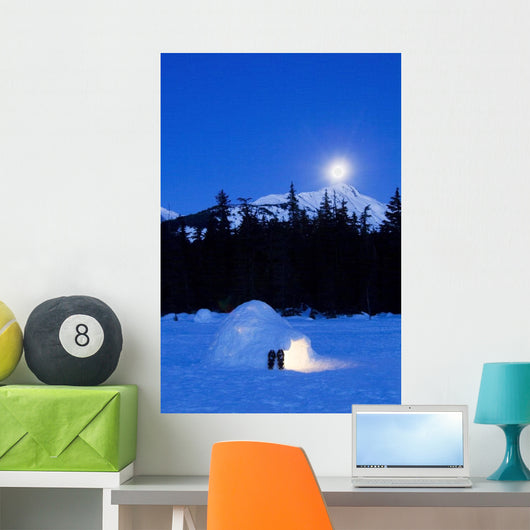 Hand Built Igloo Wall Mural