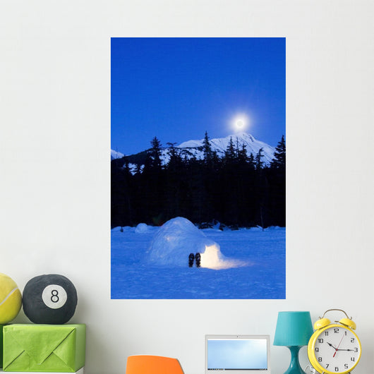 Hand Built Igloo Wall Mural