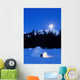Hand Built Igloo Wall Mural
