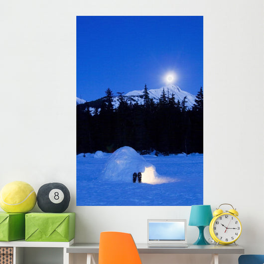 Hand Built Igloo Wall Mural