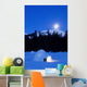 Hand Built Igloo Wall Mural