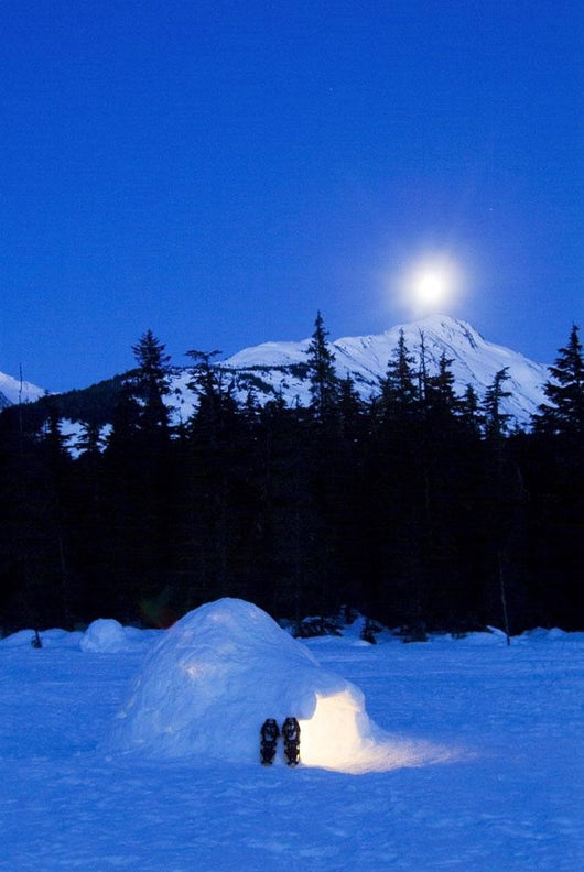Hand Built Igloo Wall Mural
