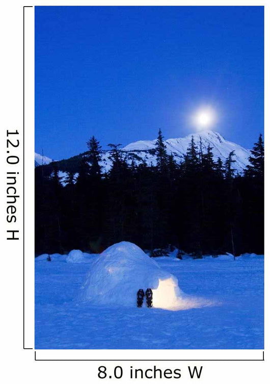 Hand Built Igloo Wall Mural