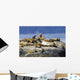 Steller Sea Lions Wall Mural