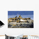 Steller Sea Lions Wall Mural