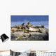 Steller Sea Lions Wall Mural