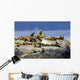 Steller Sea Lions Wall Mural