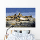 Steller Sea Lions Wall Mural