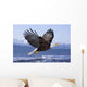 Bald Eagle Wall Mural