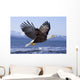 Bald Eagle Wall Mural