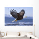 Bald Eagle Wall Mural