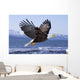 Bald Eagle Wall Mural