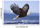 Bald Eagle Wall Mural