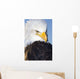 Portrait Of A Mature Bald Eagle In Homer, Alaska Wall Mural