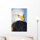 Portrait Of A Mature Bald Eagle In Homer, Alaska Wall Mural