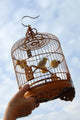 cage bound bird waiting for freedom release Wall Mural