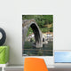 Ponte Della Maddalena Across the Serchio Tuscanyl Wall Mural
