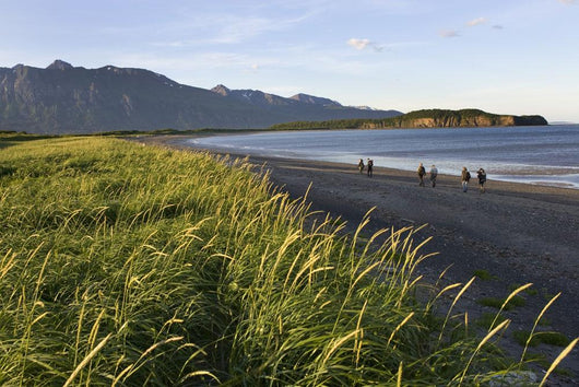 Tourists View Hallo Bay Near The Mouth Of Big River With Yak Peak Wall Mural