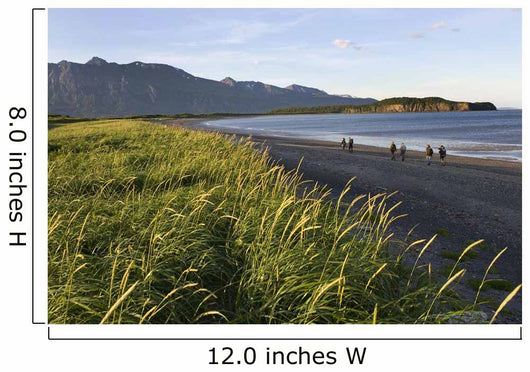Tourists View Hallo Bay Near The Mouth Of Big River With Yak Peak Wall Mural