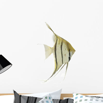 Aquarium Angelfish Fish Wall Decal shown on a wall