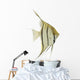 Aquarium Angelfish Fish Wall Decal