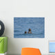 Sea Otters Swimming Wall Mural