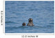 Sea Otters Swimming Wall Mural