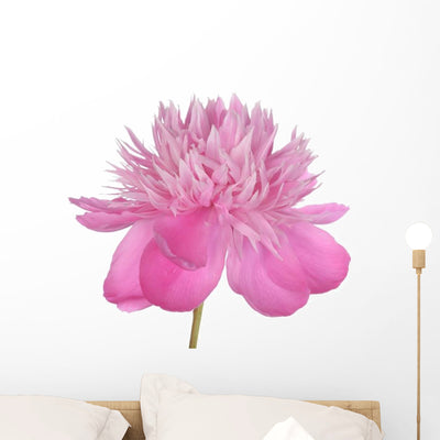 Peony Wall Decal shown on a wall