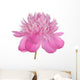 Peony Wall Decal